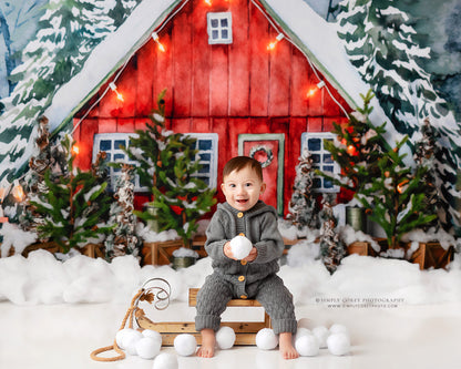 Christmas In The Stables