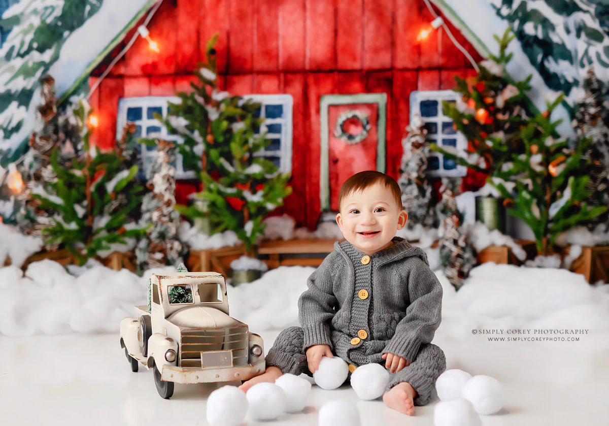 Christmas In The Stables