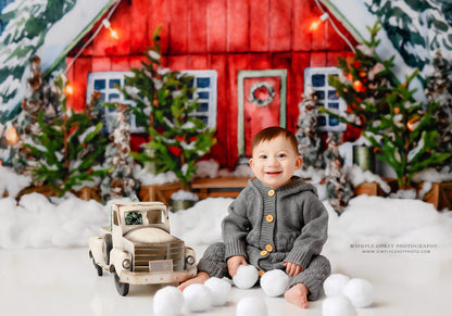 Christmas In The Stables