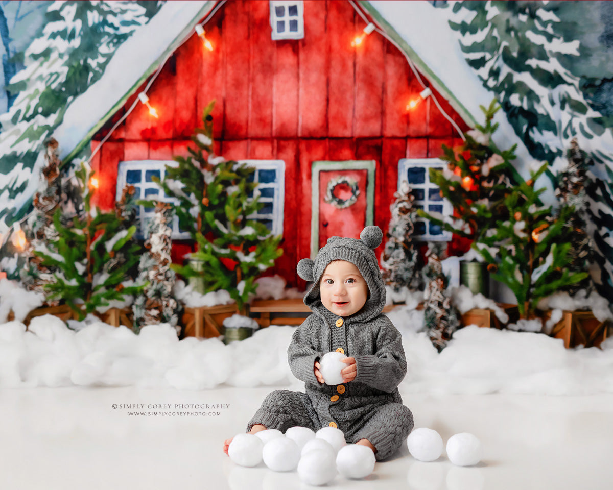 Christmas In The Stables