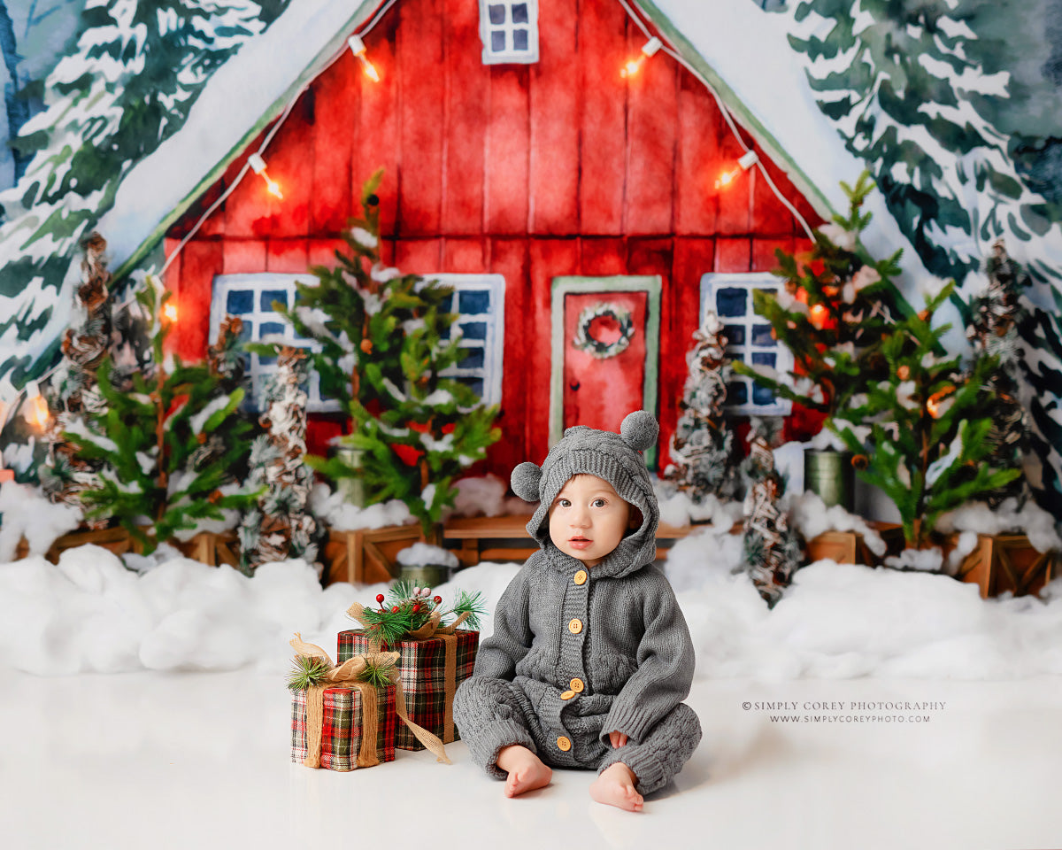 Christmas In The Stables