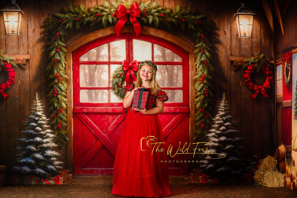 Christmas At The Red Barn - Dirt Floor - Room