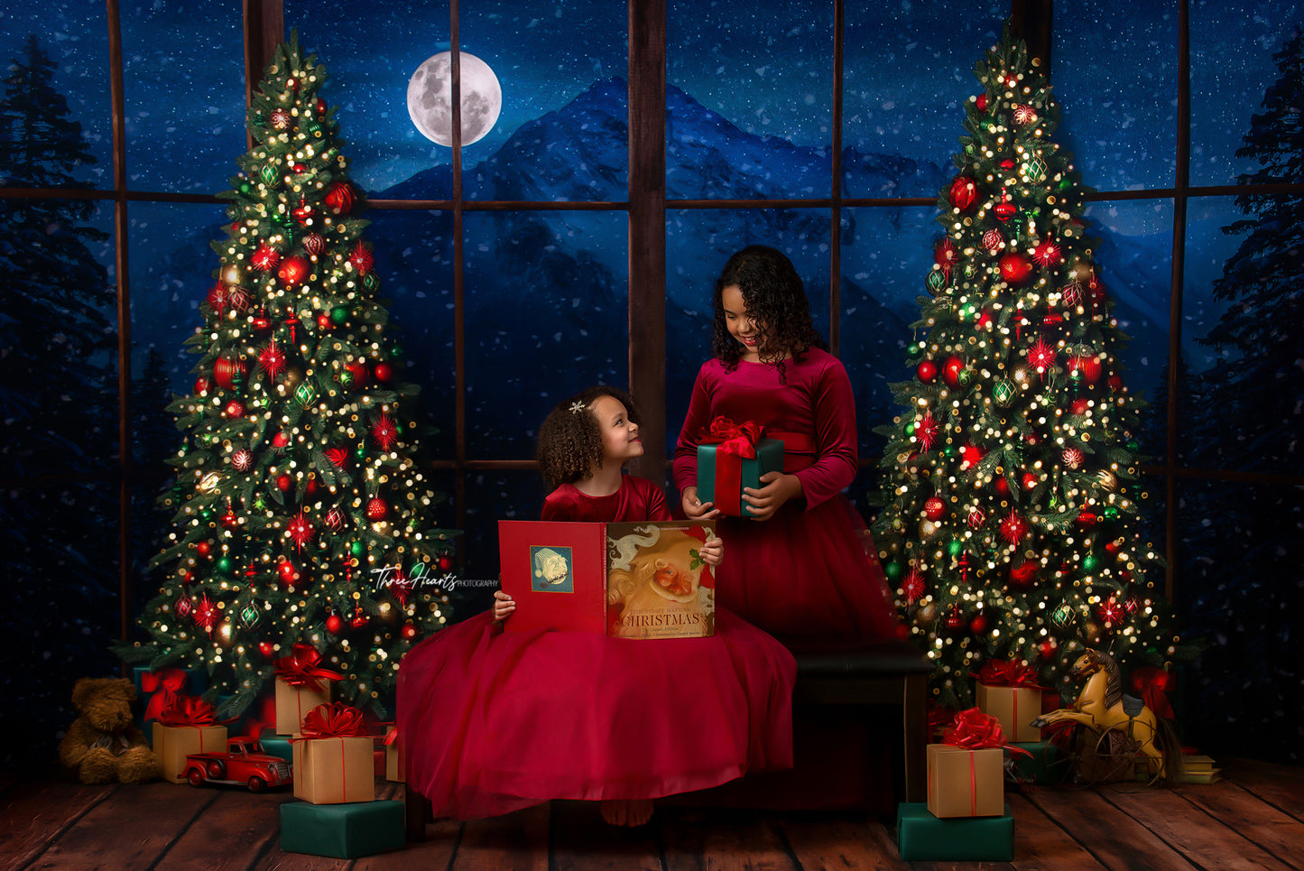 Christmas Mountain View