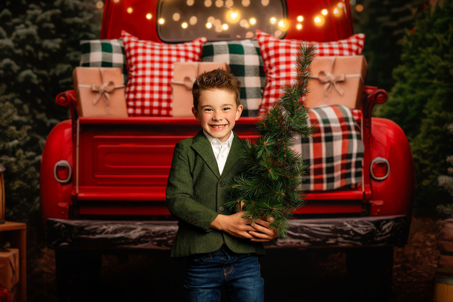 Classic Holiday Tree Farm - Room