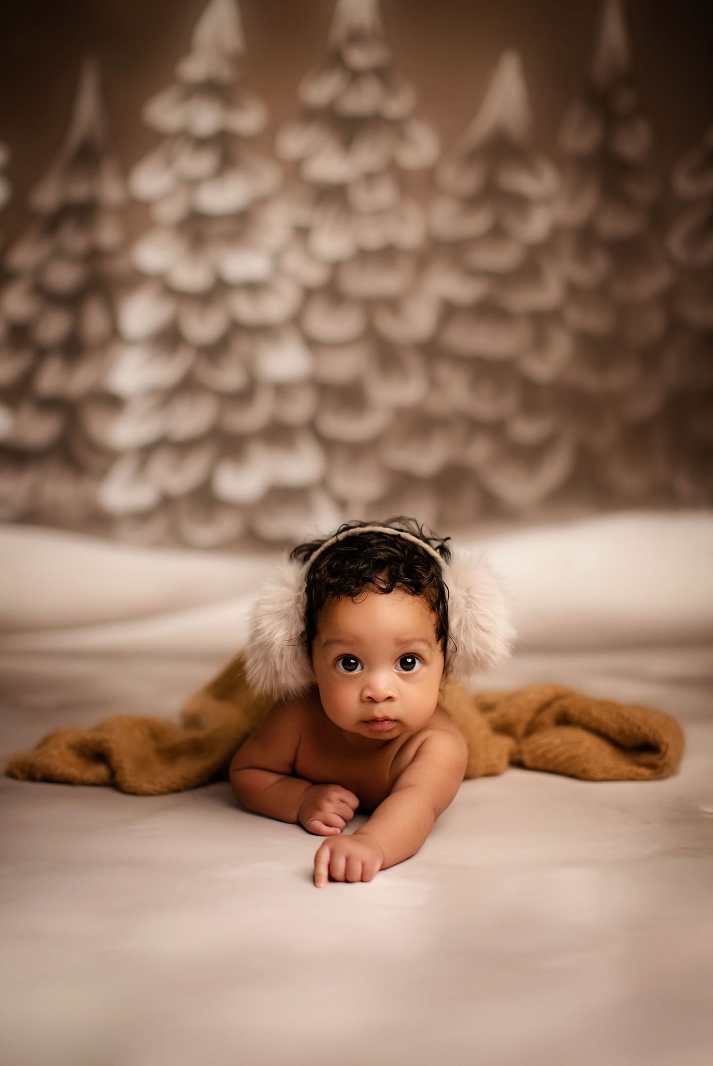 Cocoa Forest - with Sweep Option