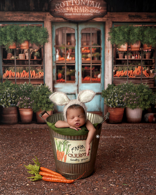 Cottontail Farms Market 60x50" - Littles Collection