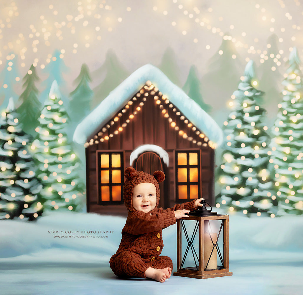 Cozy Snowy Retreat - with Sweep Option