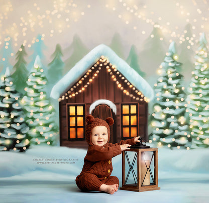 Cozy Snowy Retreat - with Sweep Option