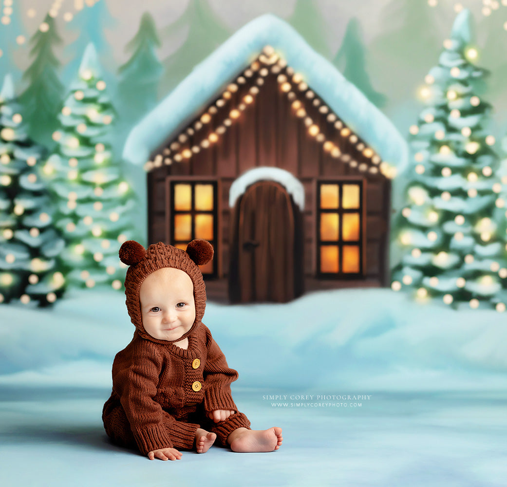 Cozy Snowy Retreat - with Sweep Option