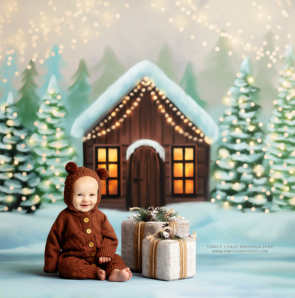 Cozy Snowy Retreat - with Sweep Option