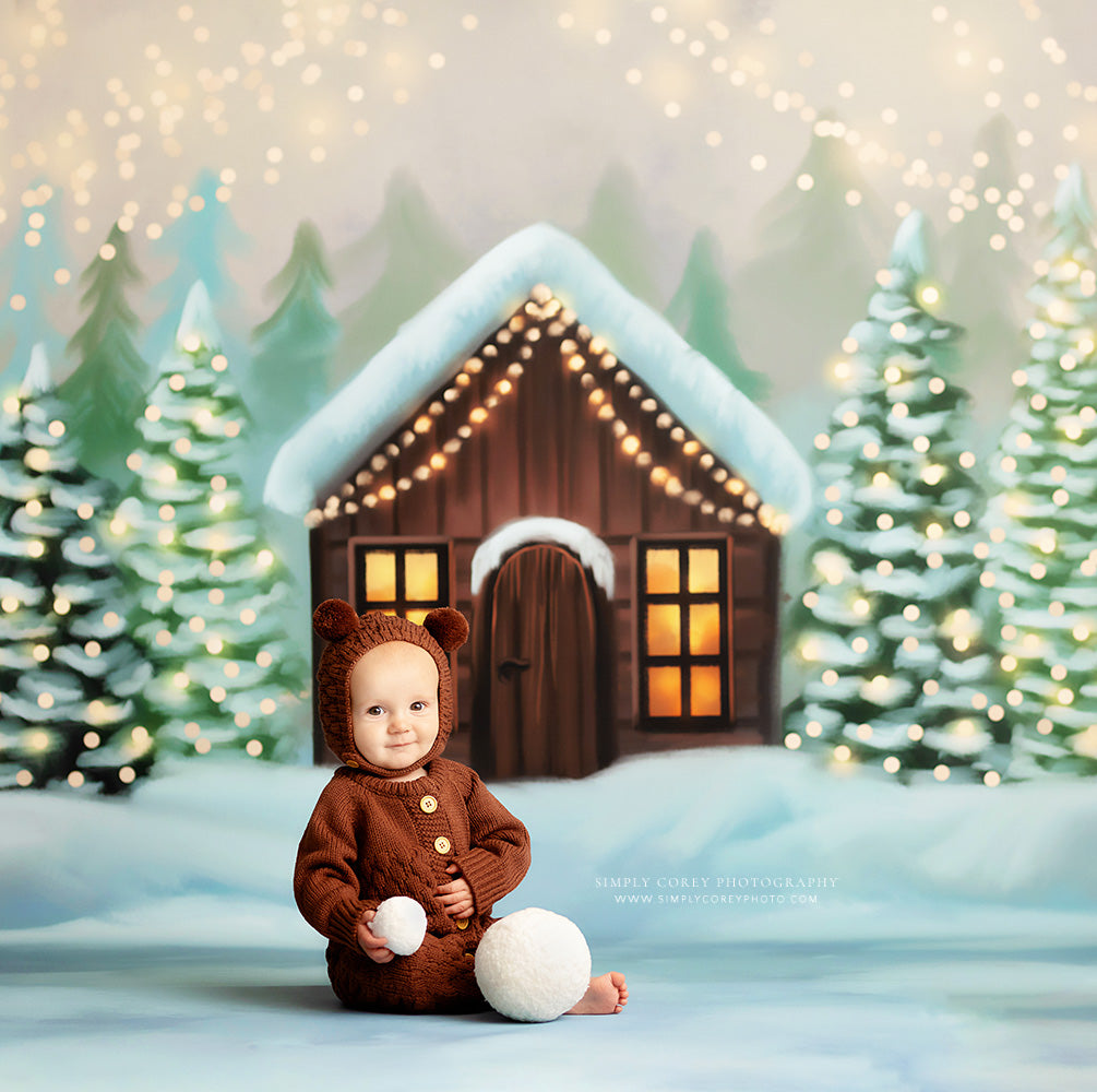 Cozy Snowy Retreat - with Sweep Option