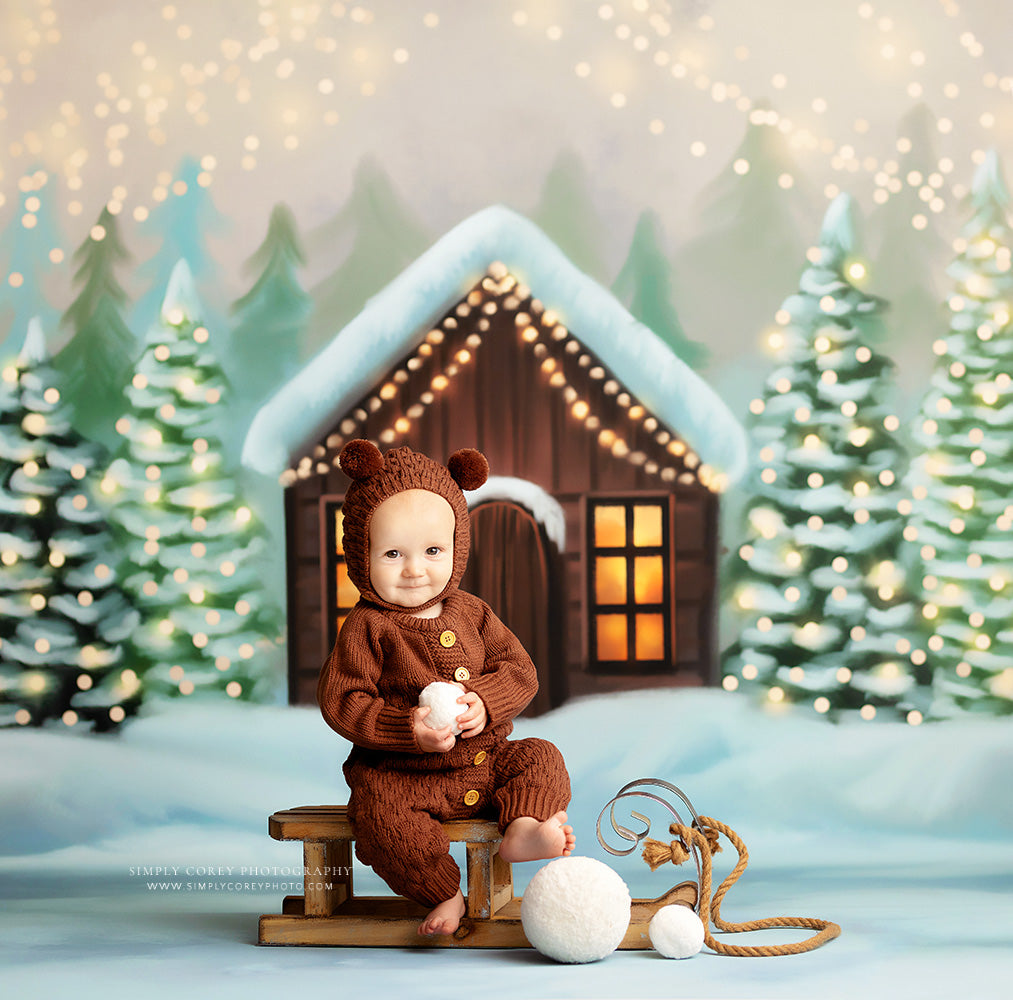 Cozy Snowy Retreat - with Sweep Option