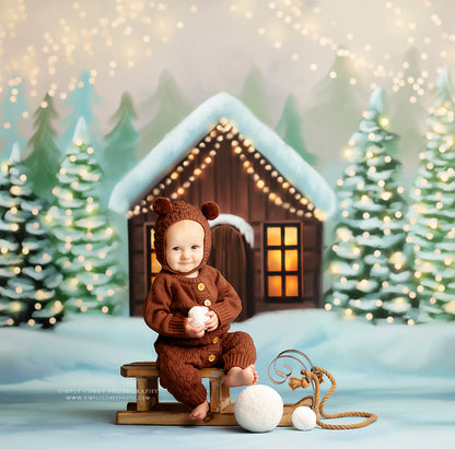 Cozy Snowy Retreat - with Sweep Option