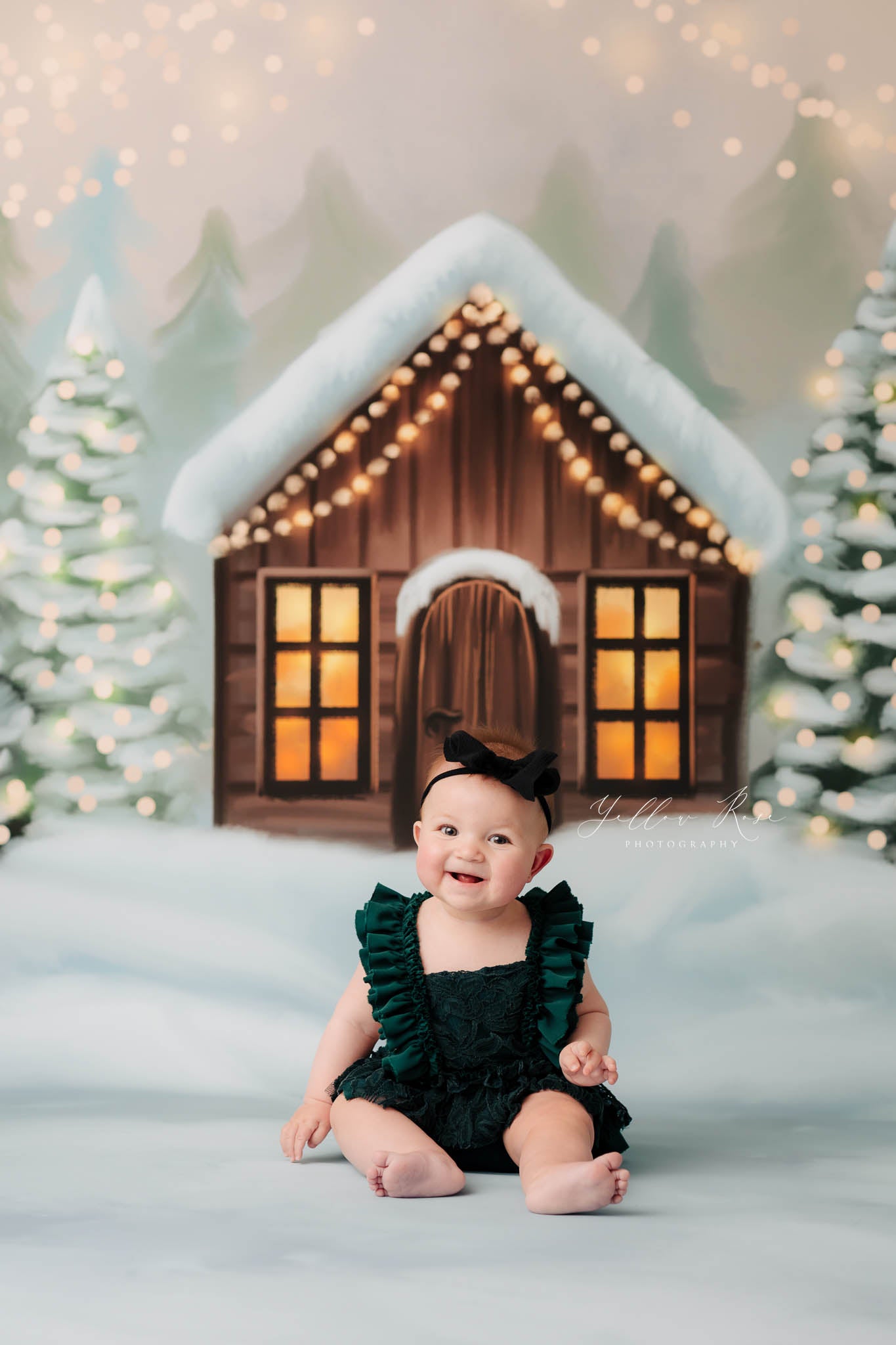 Cozy Snowy Retreat - with Sweep Option