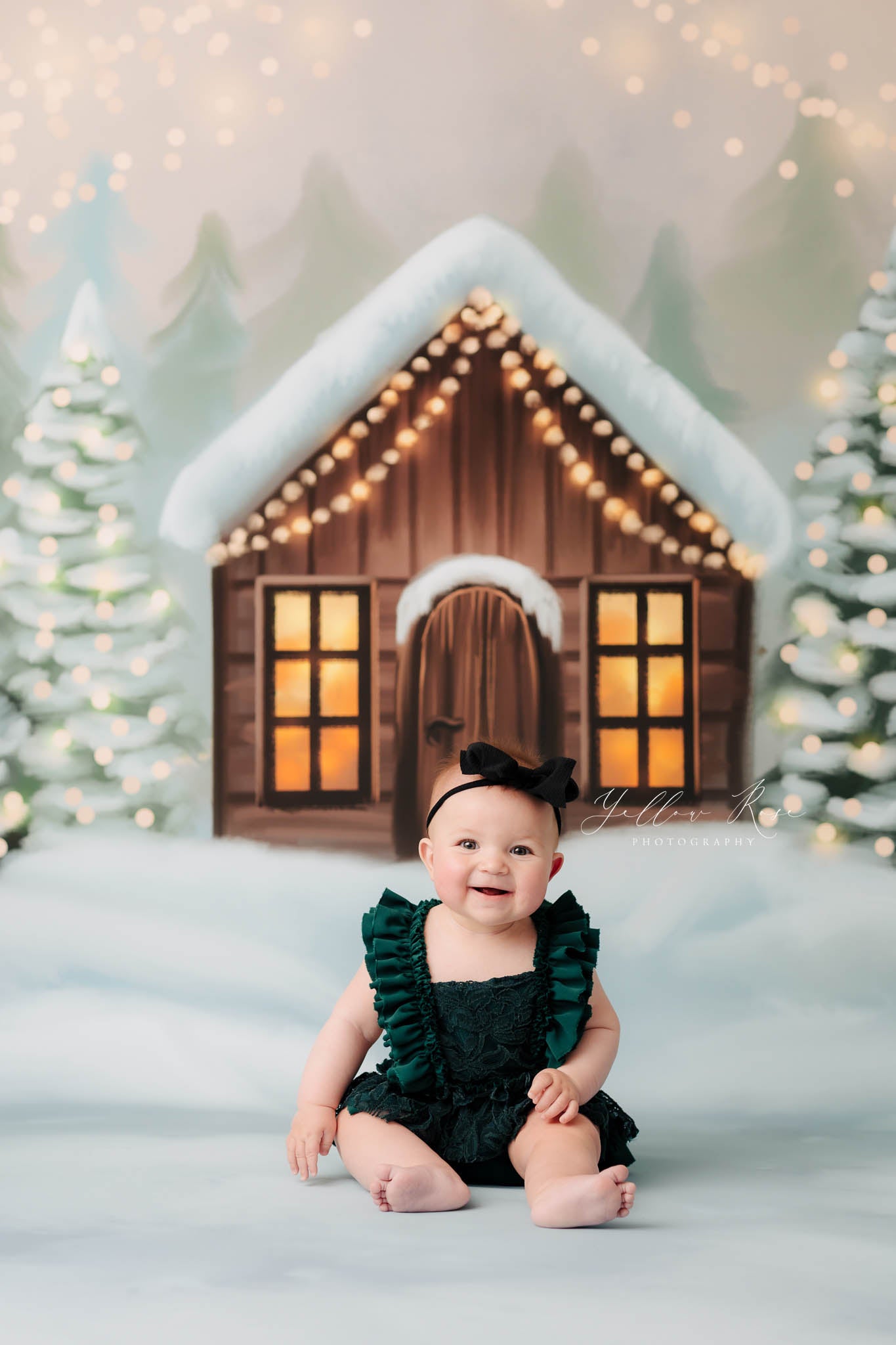 Cozy Snowy Retreat - with Sweep Option