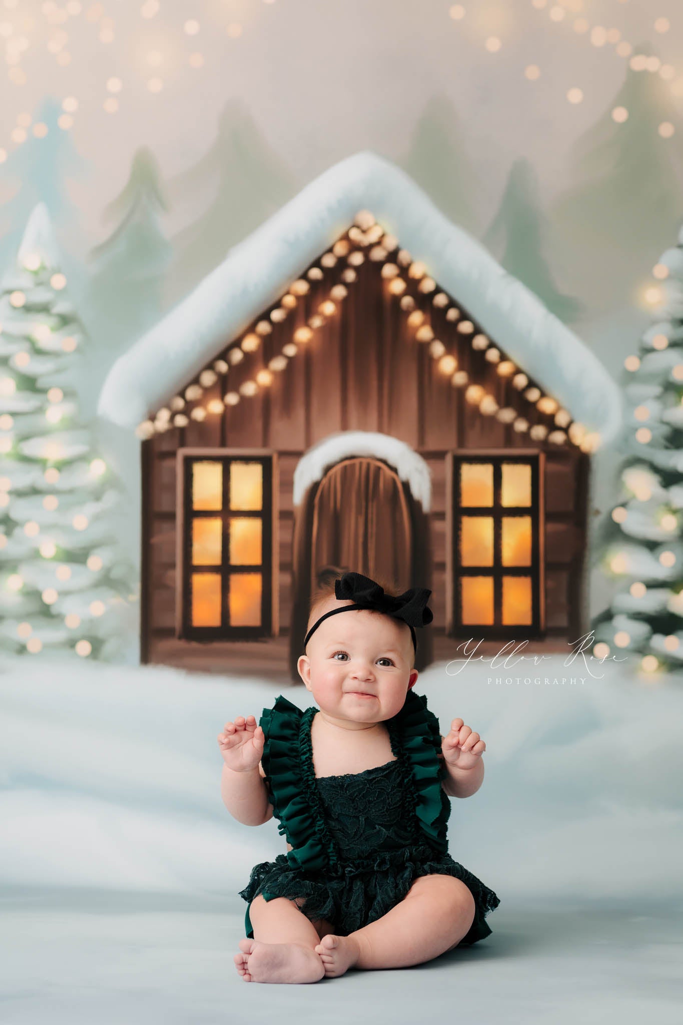 Cozy Snowy Retreat - with Sweep Option