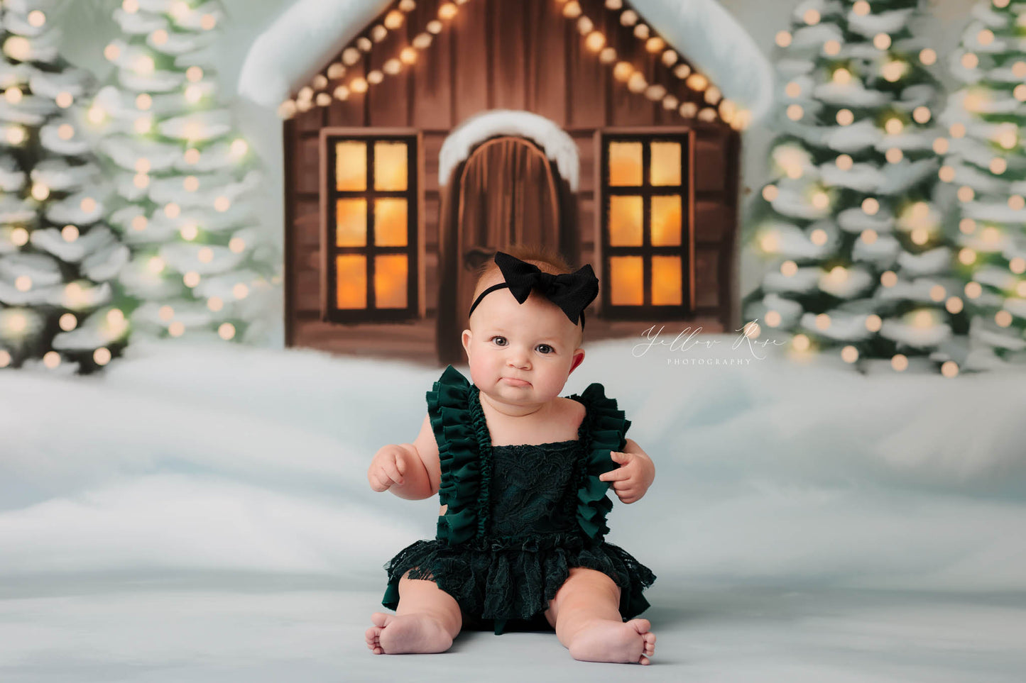 Cozy Snowy Retreat - with Sweep Option