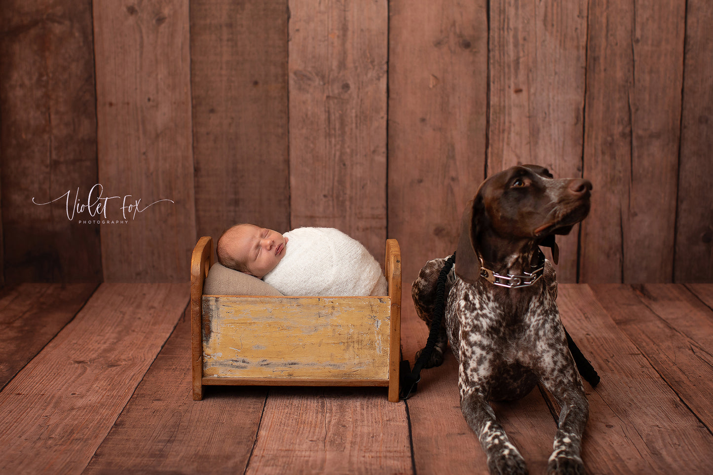 Easiframe Cake Smash Backdrop System