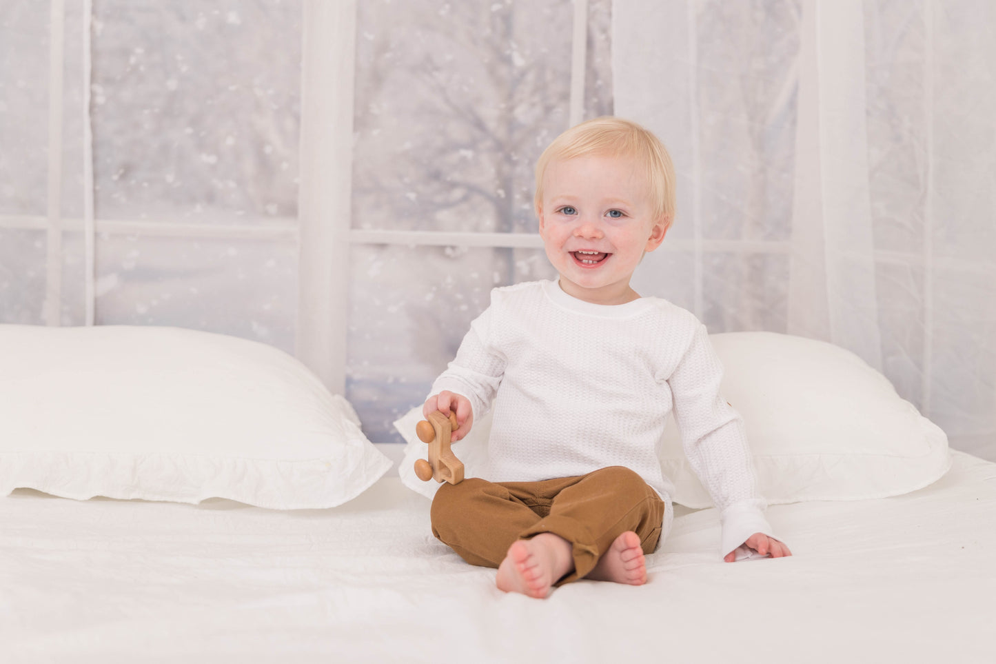 Morning Snowy Bay View