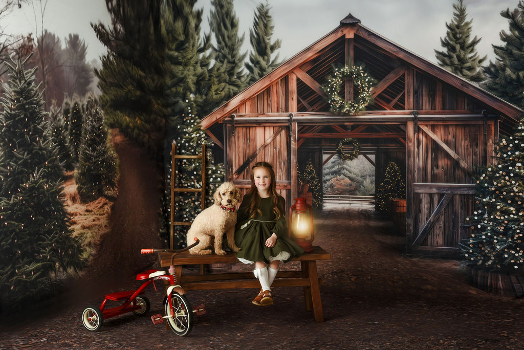 Rustic Country Tree Farm - Room