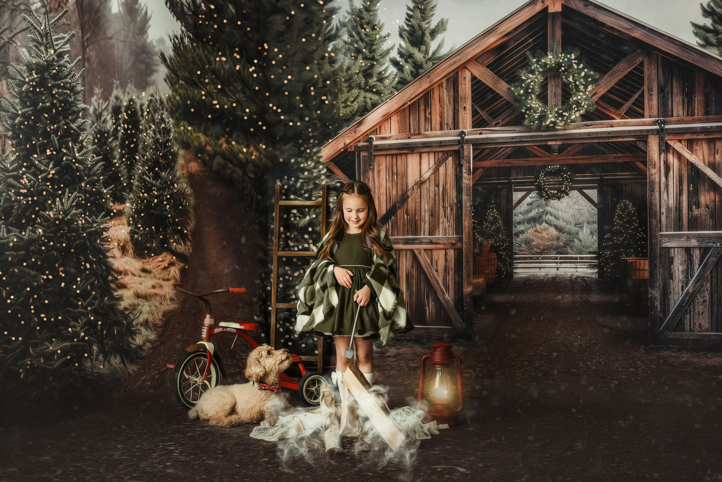 Rustic Country Tree Farm - Room