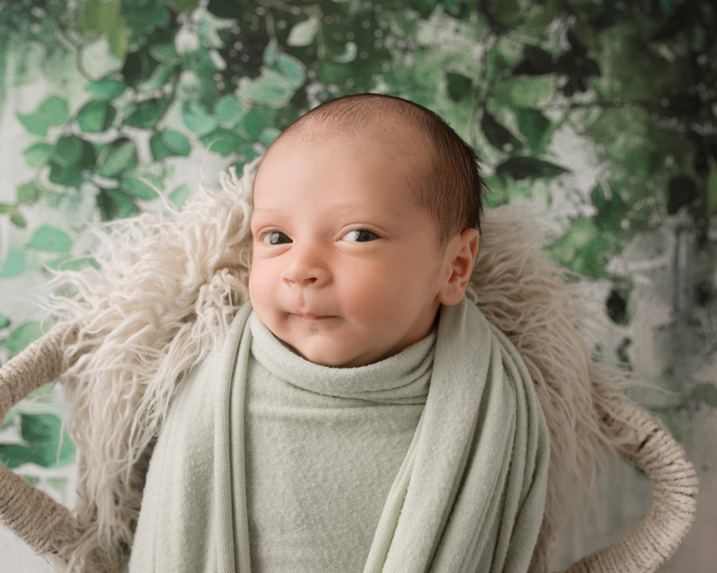 Painted Eucalyptus  - Petite