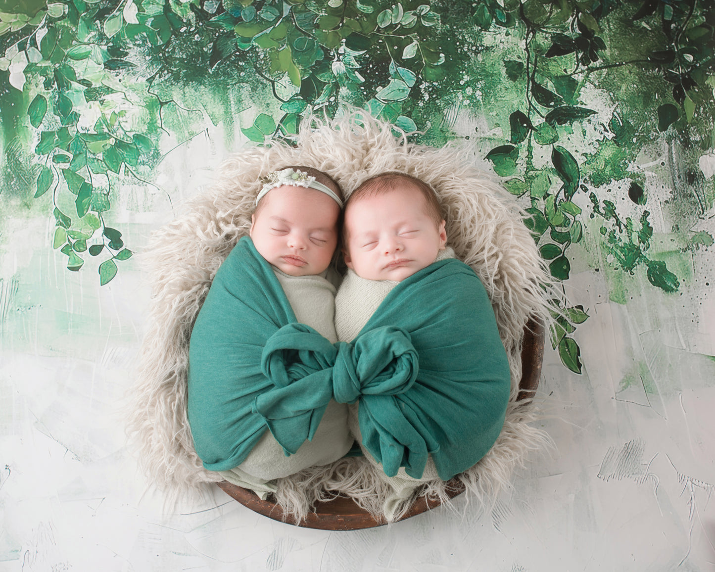 Painted Eucalyptus  - Petite