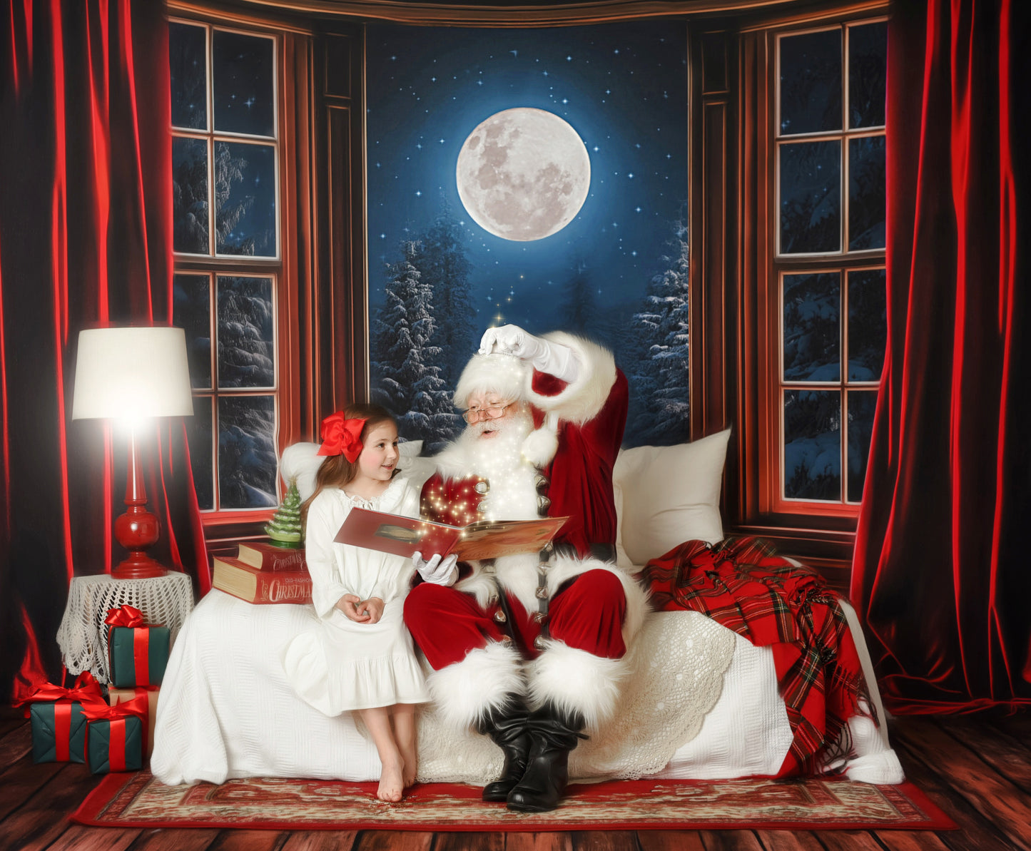 Midnight Christmas View