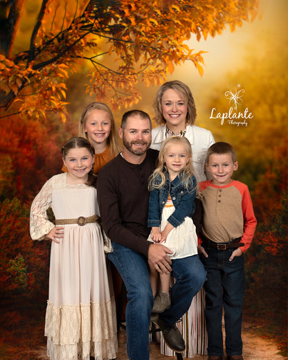 Dreamy Evening Path - With Sweep Option