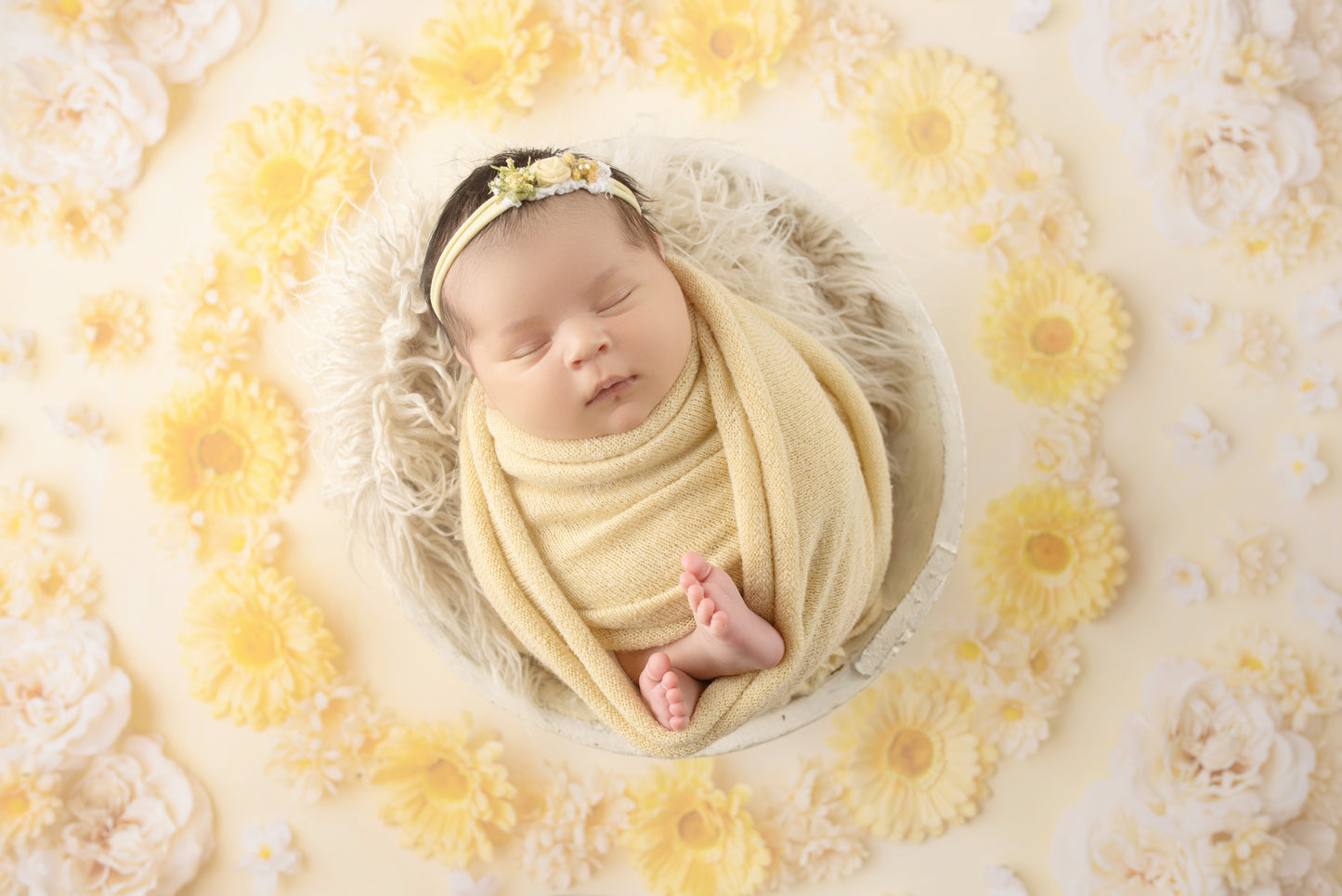 Delicate Daisy - Petite