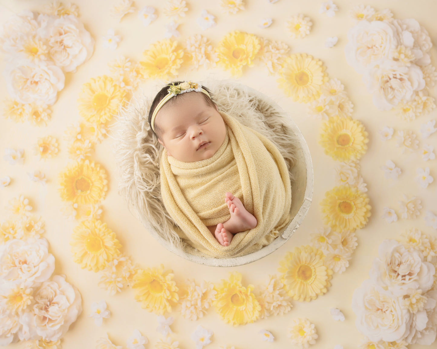 Delicate Daisy - Petite