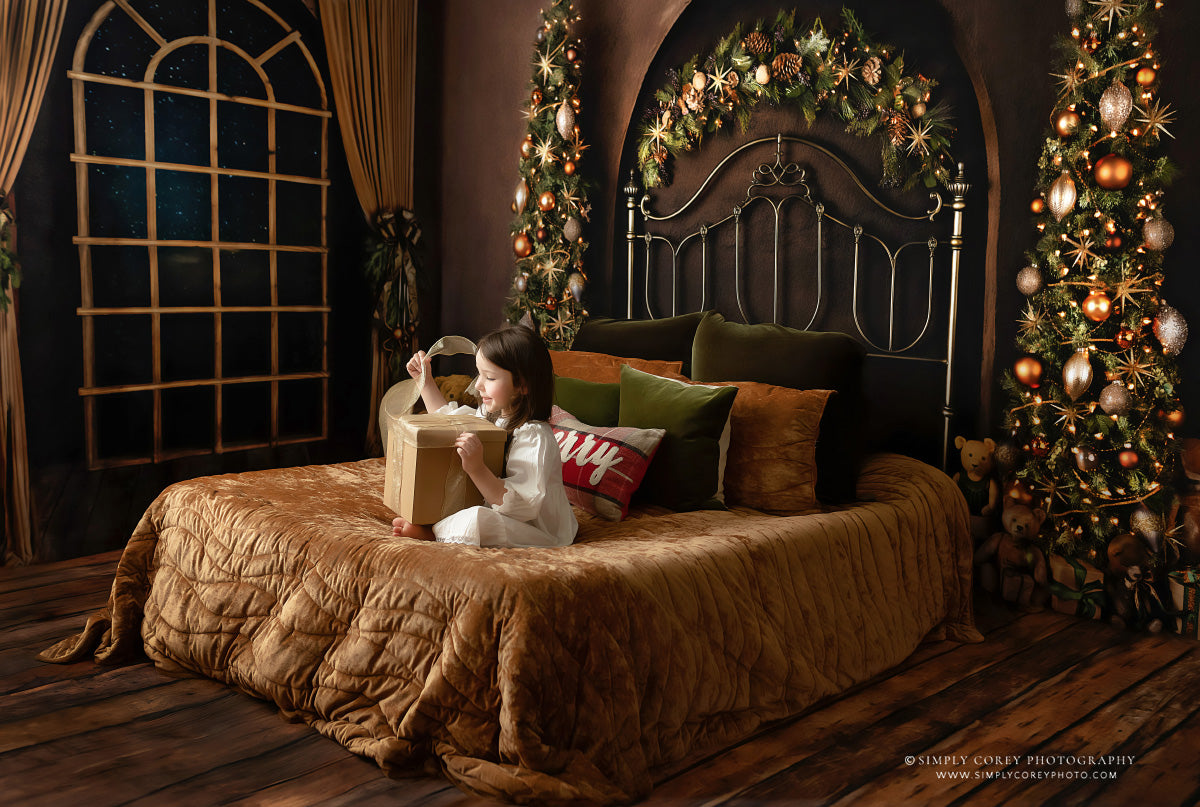 Dreams of December - Room