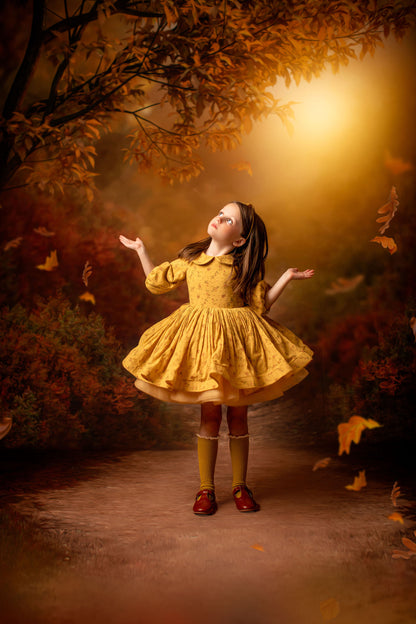 Dreamy Evening Path - With Sweep Option