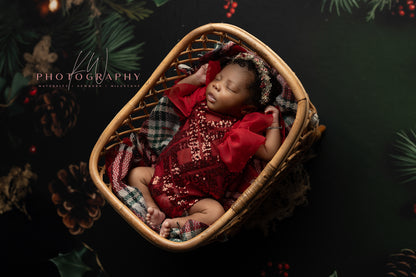 Elegant Evergreen Holiday - Petite