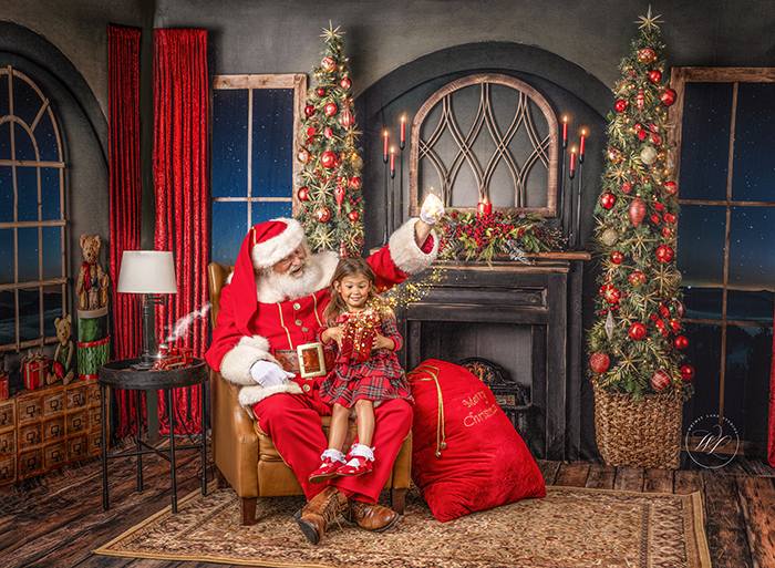 Elegant Fireplace Overlook