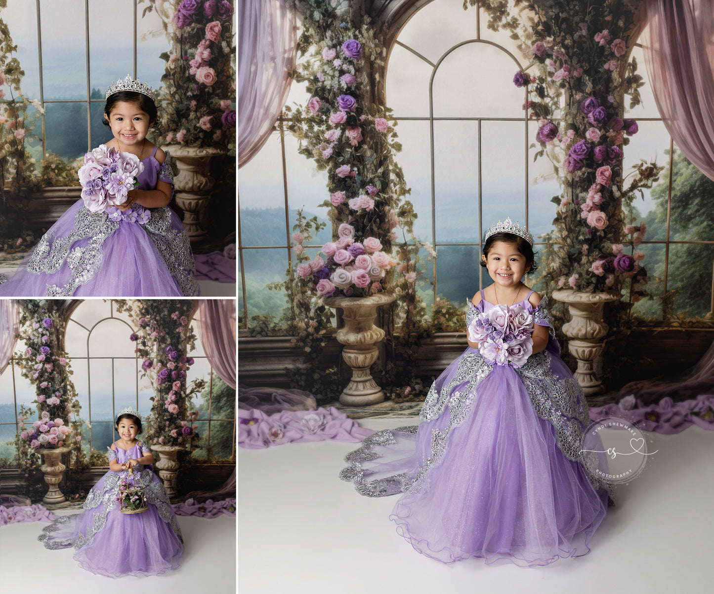 Elegant Princess View