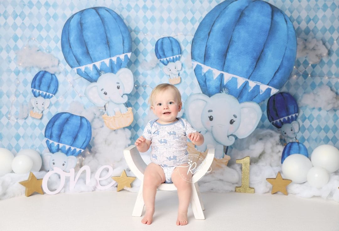 Elephant Balloon Ride