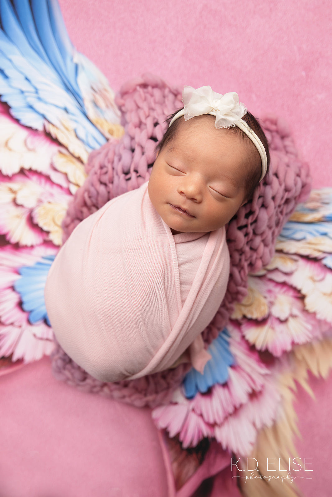 Enchanted Blush Wings - Petite