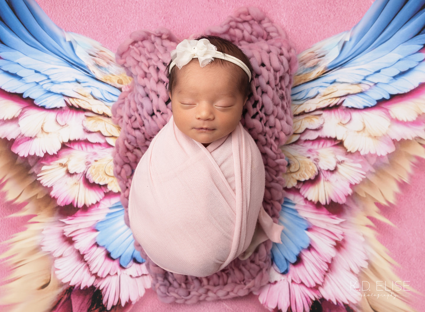 Enchanted Blush Wings - Petite