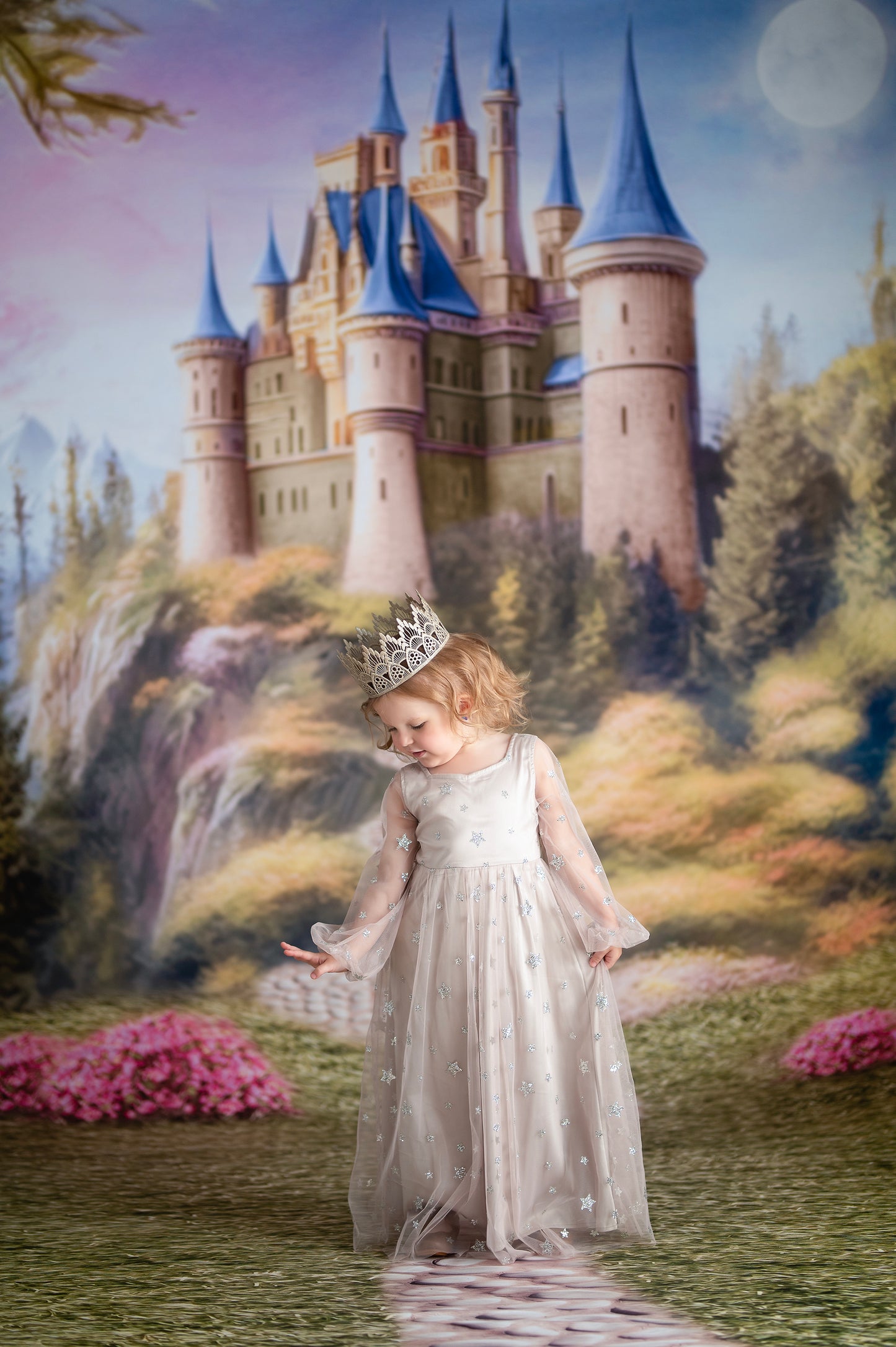 Enchanted Kingdom - Blue - With Sweep Option