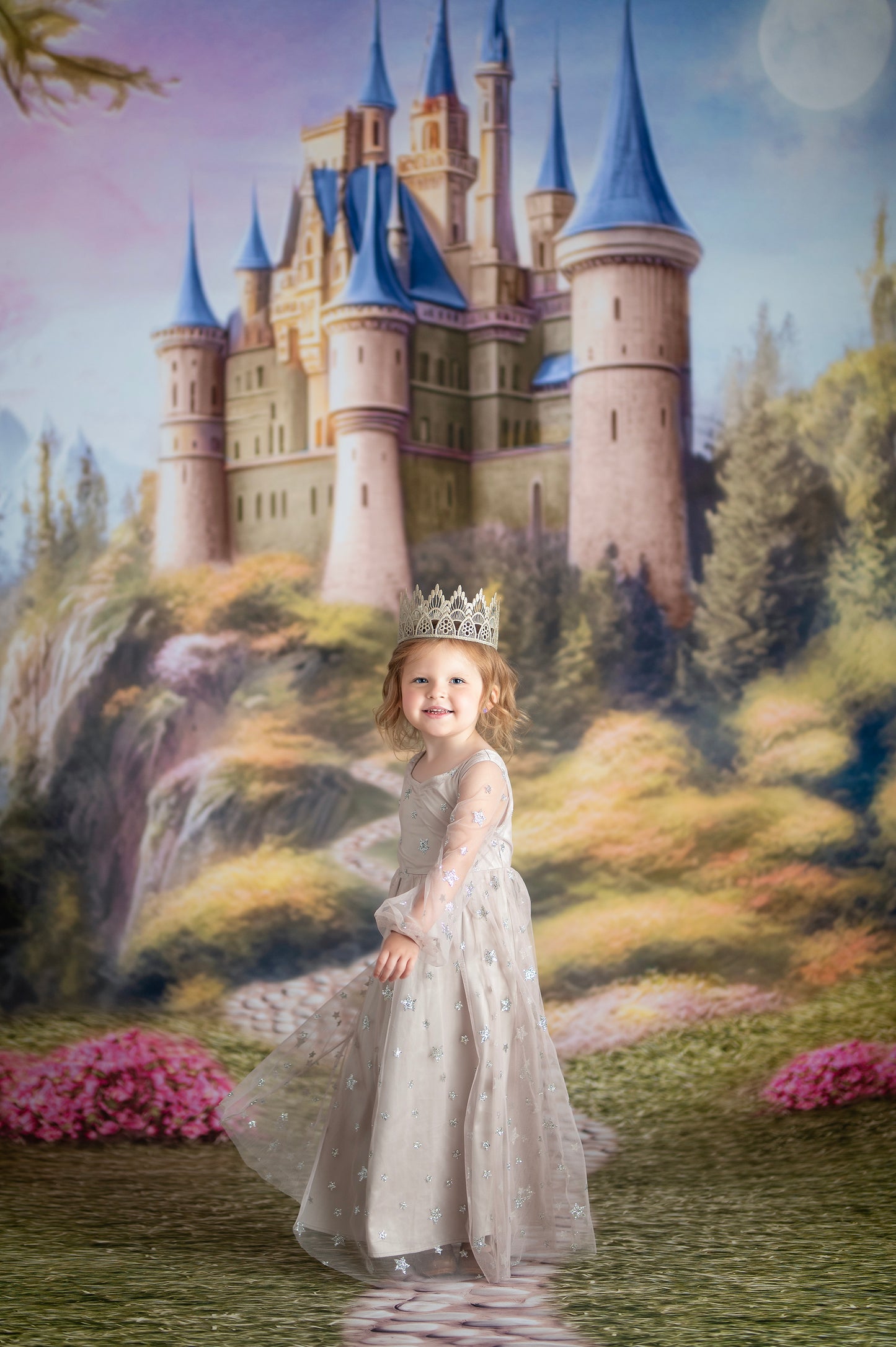 Enchanted Kingdom - Blue - With Sweep Option