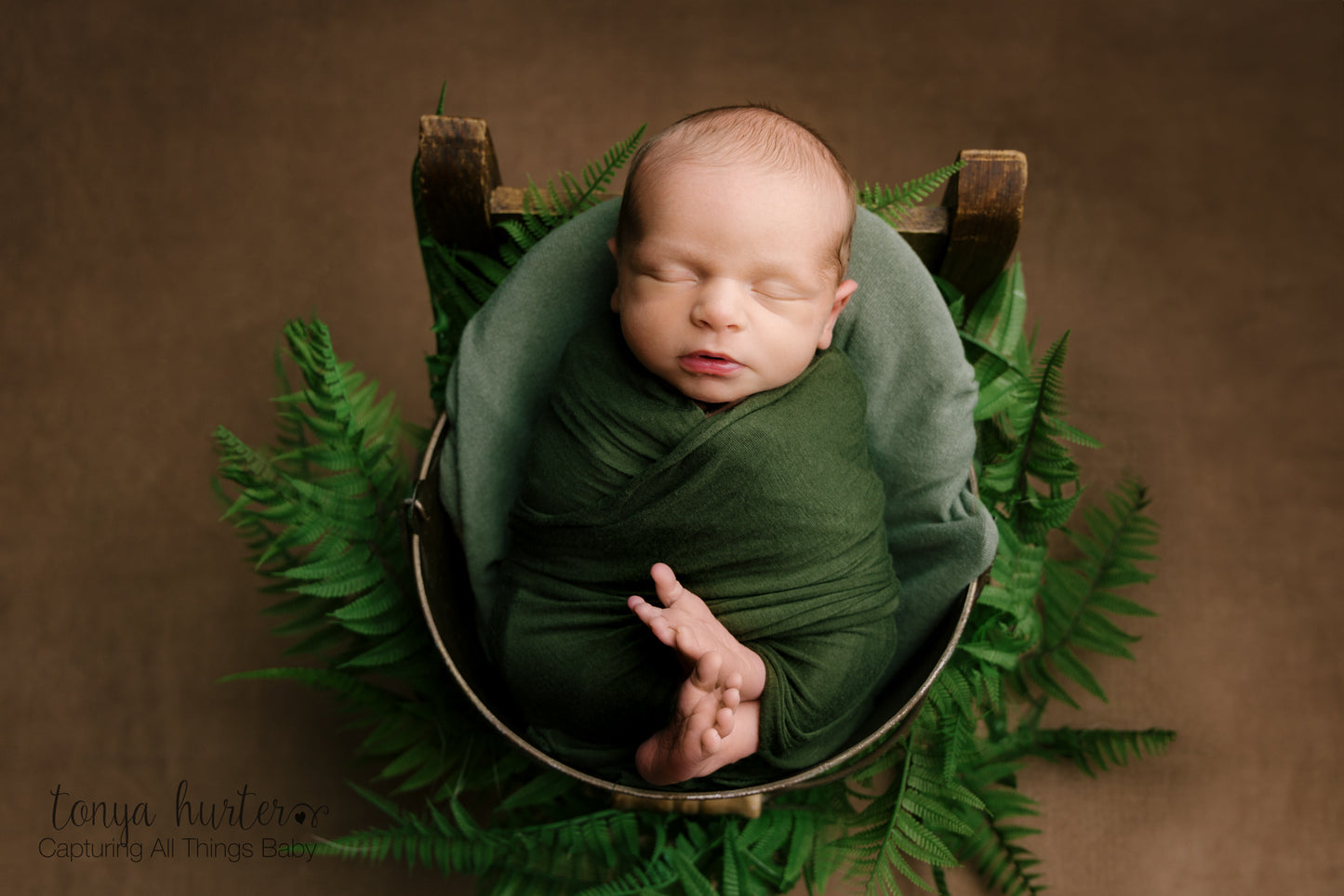 Enchanting Brown - Petite