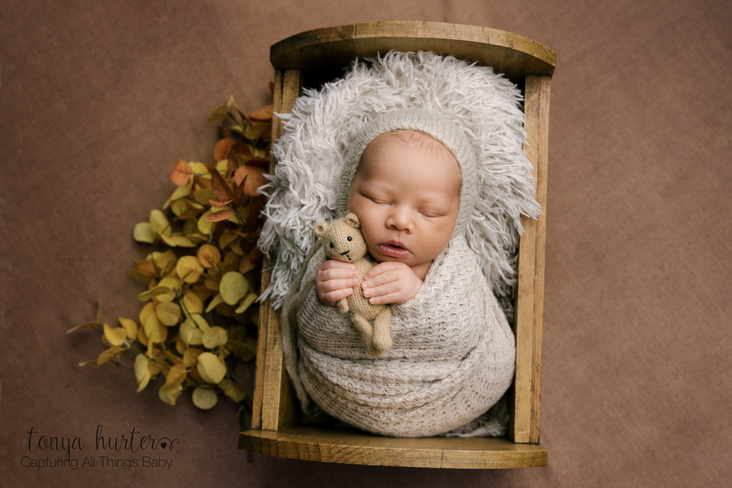 Enchanting Brown - Petite