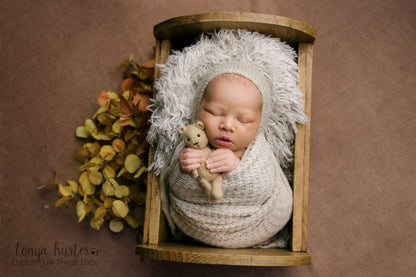 Enchanting Brown - Petite