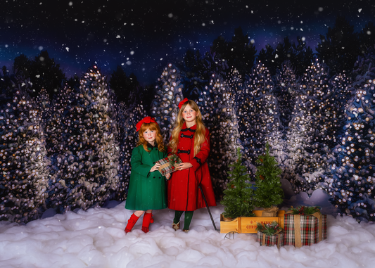 Evening Glimmering Tree Farm 2pc Room