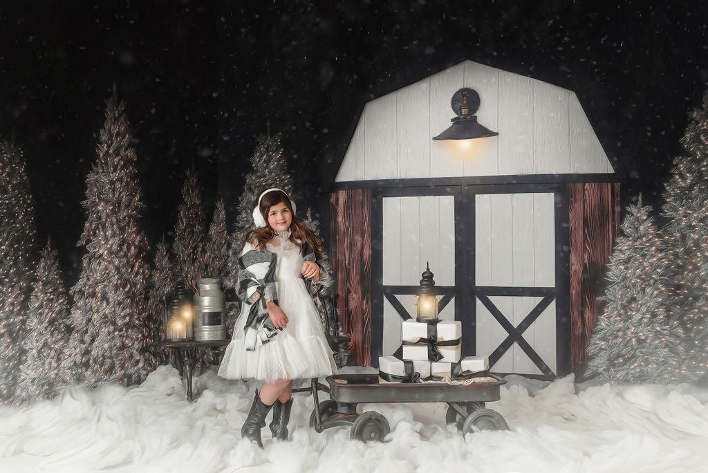 Modern Christmas Barn - with light - 2pc Room