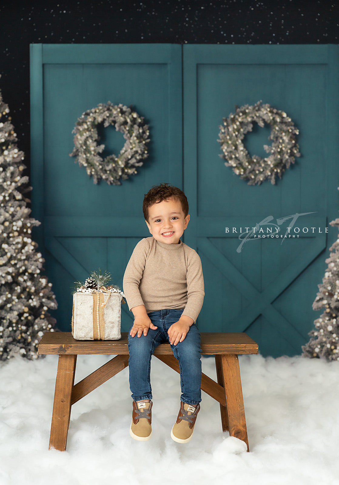 Fancy Blue Barn Doors 2pc Room