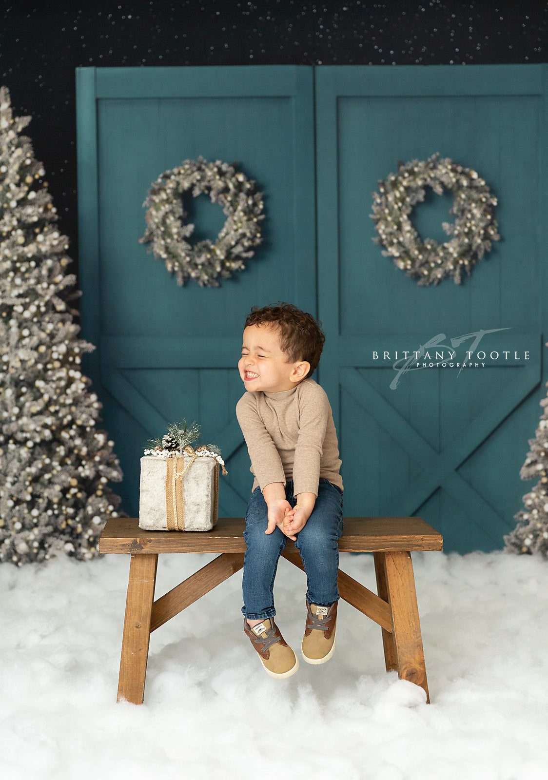 Fancy Blue Barn Doors 2pc Room