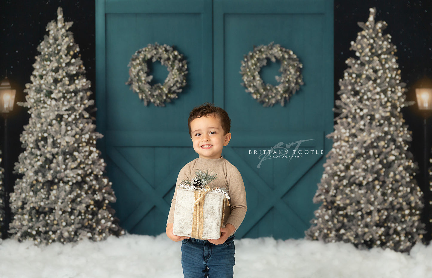 Fancy Blue Barn Doors 2pc Room