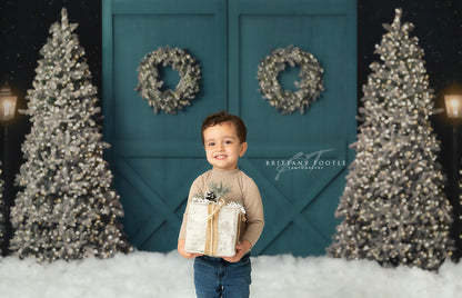 Fancy Blue Barn Doors 2pc Room